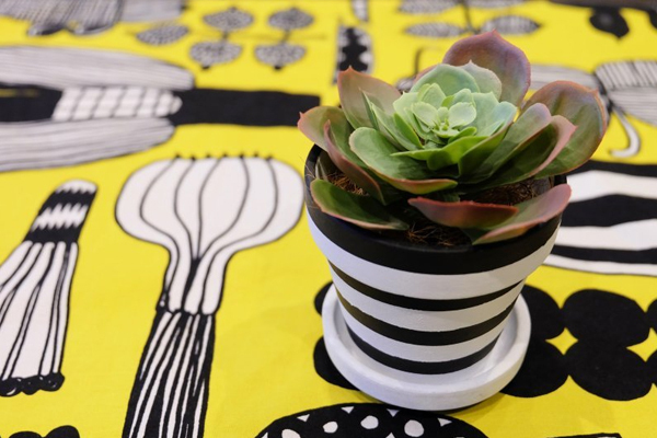 多肉ポットも100均リメイクで変身！　お金をかけない北欧インテリア