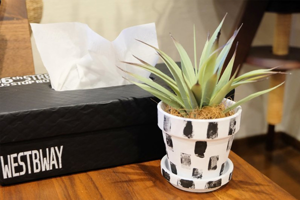 多肉ポットも100均リメイクで変身！　お金をかけない北欧インテリア