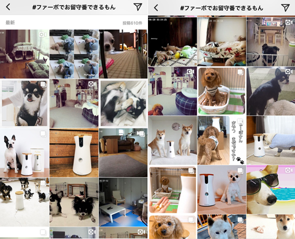 愛犬を見守ることで、保護犬支援プロジェクトに貢献できる「Furbo」の取り組みとは？