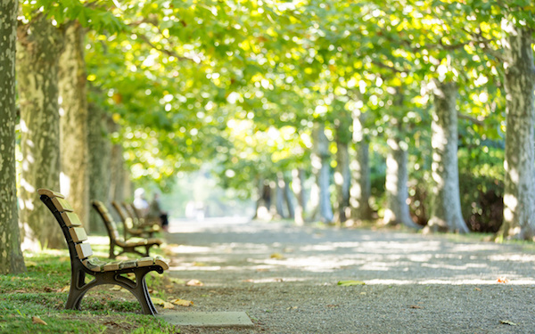 9月4日～9月10日の週間運勢占いランキング！　1位の星座は…？
