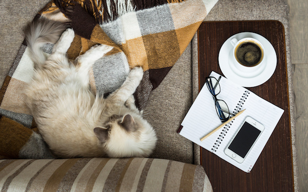 9月25日～10月1日の週間運勢占いランキング！　1位の星座は…？