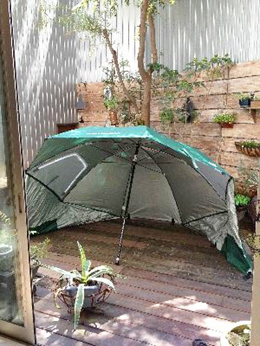 おしゃピクを楽しむレジャーシートのコーディネート