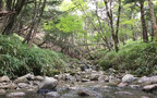 木のキッズスペースで思いっきり遊べる！ 今週末は代官山で「奈良の木」の魅力にふれよう