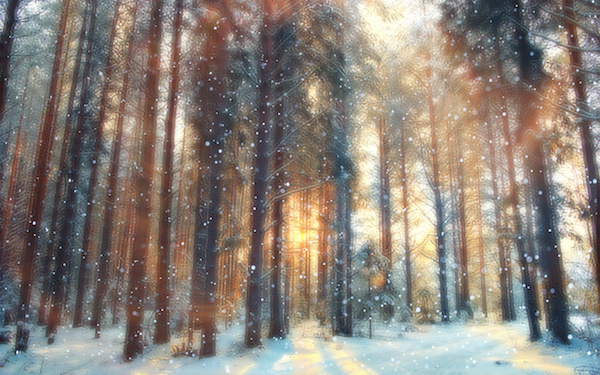 1月22日～1月28日の週間運勢占いランキング！　1位の星座は…？