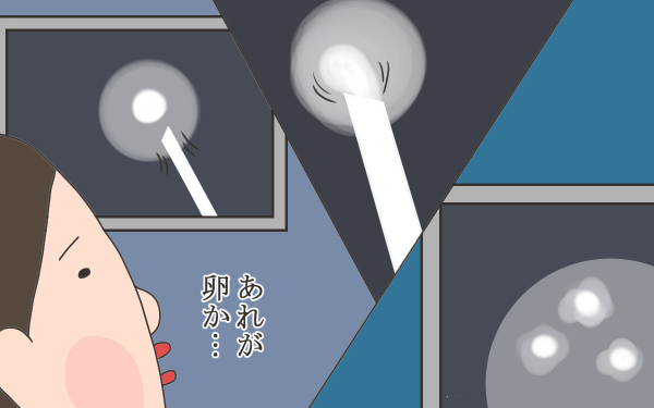 卵巣内で育てた約30個の私の卵【こうして赤子を授かった～中村こてつ不妊治療体験記～ 第22話】