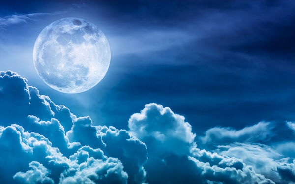 2月19日～2月25日の週間運勢占いランキング！　1位の星座は…？