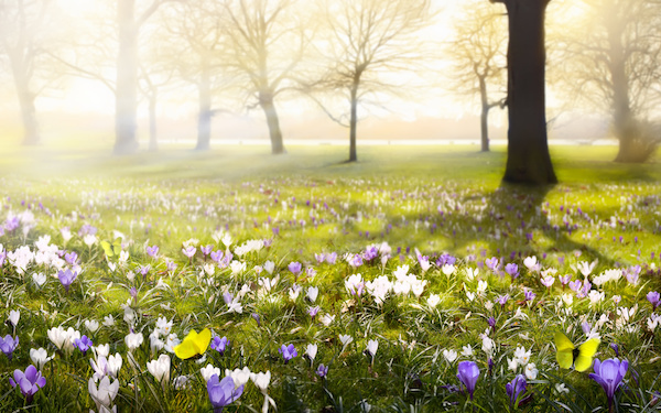 3月5日～3月11日の週間運勢占いランキング！　1位の星座は…？