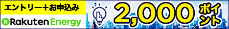 電力自由化をメリットに！ 本当に家計にやさしい電気事業者は？