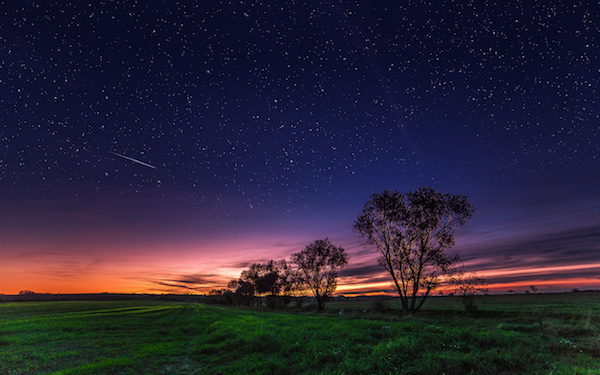 4月16日～4月22日の週間運勢占いランキング！　1位の星座は…？