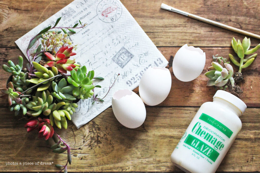 子どもと一緒に工作！ 卵の殻で作る多肉アレンジメント