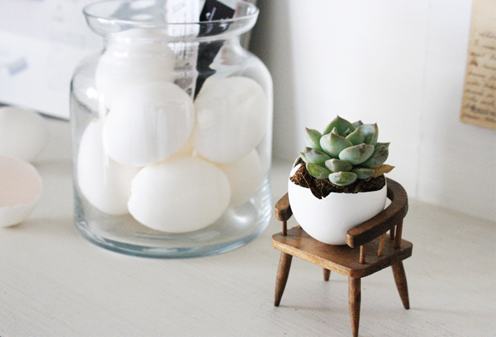 子どもと一緒に工作！ 卵の殻で作る多肉アレンジメント