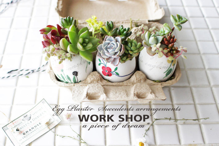 子どもと一緒に工作！ 卵の殻で作る多肉アレンジメント