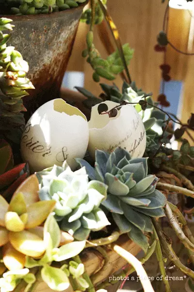 子どもと一緒に工作！ 卵の殻で作る多肉アレンジメント
