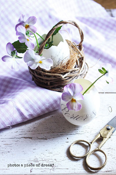 子どもと一緒に工作！ 卵の殻で作る多肉アレンジメント