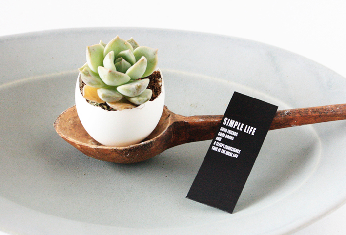 子どもと一緒に工作！ 卵の殻で作る多肉アレンジメント