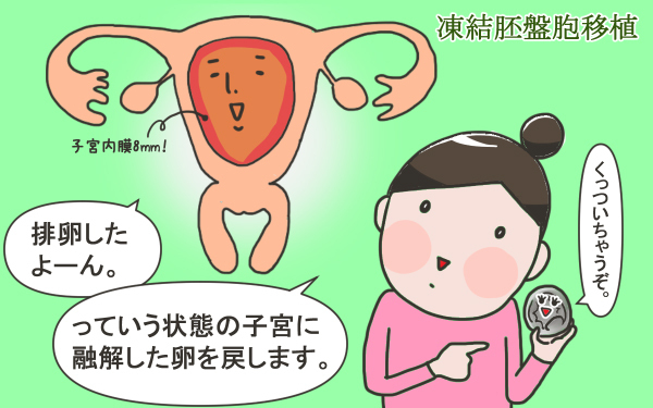 移植日が決まる。母体になる準備が進む。【こうして赤子を授かった～中村こてつ不妊治療体験記～ 第27話】