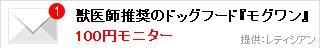 ペットや赤ちゃんの撮影って難しい！ 可愛く撮るコツをプロが伝授