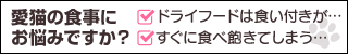 ペットや赤ちゃんの撮影って難しい！ 可愛く撮るコツをプロが伝授
