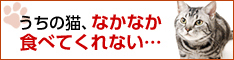 ペットや赤ちゃんの撮影って難しい！ 可愛く撮るコツをプロが伝授
