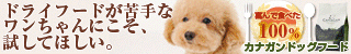 ペットや赤ちゃんの撮影って難しい！ 可愛く撮るコツをプロが伝授