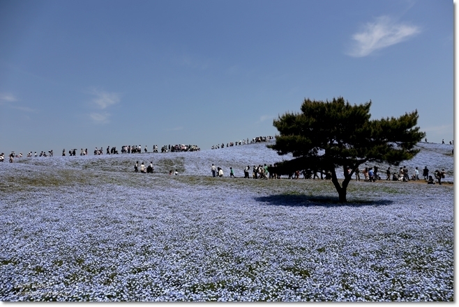 「ＧＷはどこへ行く？」 人気ブロガー絶賛の「行ってよかった！」おでかけスポット