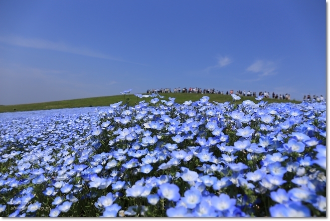 「ＧＷはどこへ行く？」 人気ブロガー絶賛の「行ってよかった！」おでかけスポット