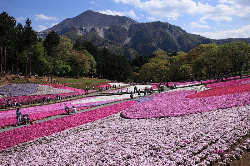 「ＧＷはどこへ行く？」 人気ブロガー絶賛の「行ってよかった！」おでかけスポット