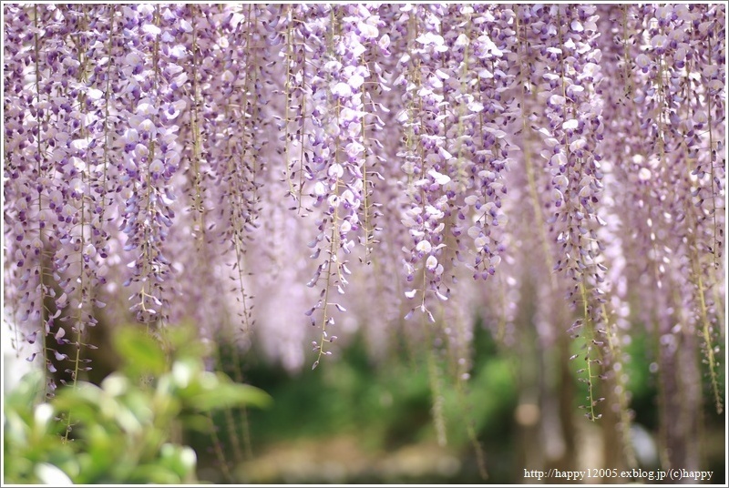 「ＧＷはどこへ行く？」 人気ブロガー絶賛の「行ってよかった！」おでかけスポット