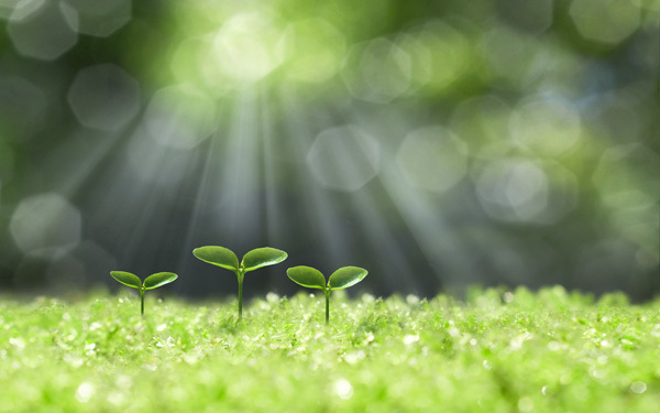 漠然とした不安が消えません…。国際結婚、踏み切るには!?