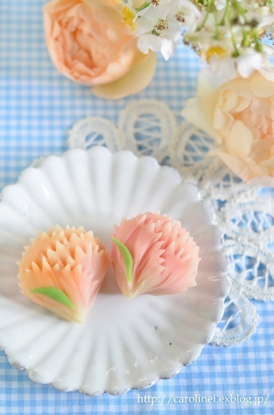 「母の日ギフト」のヒントが見つかる！ 人気ブロガーたちのおすすめアイディア