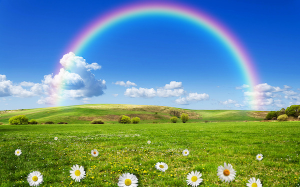 5月28日～6月3日の週間運勢占いランキング！　1位の星座は…？