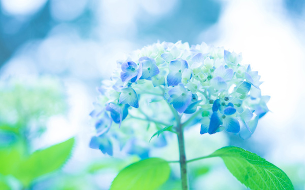 6月4日～6月10日の週間運勢占いランキング！　1位の星座は…？