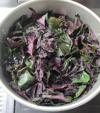 かんたん保存食で夏を乗り切る！ 「紫蘇ジュース」＆「新ショウガの甘酢漬け」の作り方