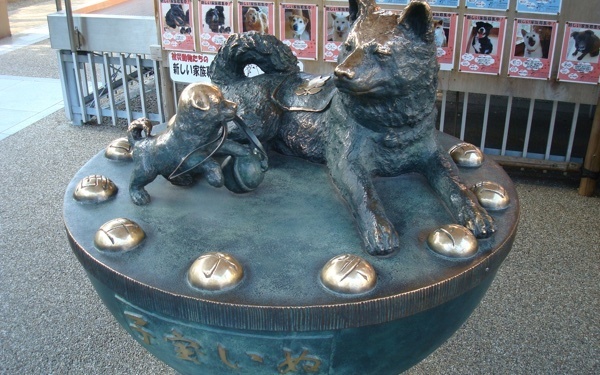 戌の日の安産祈願におすすめの神社は？いつ行く？【2019-2020戌の日カレンダー】