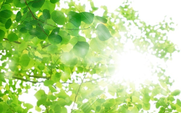 女の子の名前は古風なものにも人気に。人気の名前ランキング