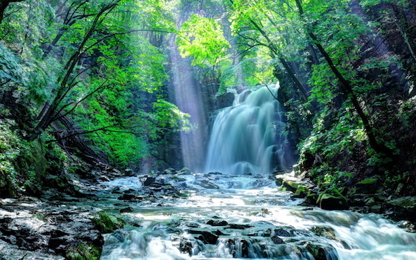 8月13日～8月19日の週間運勢占いランキング！　1位の星座は…？