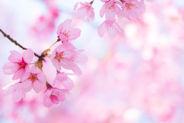 【男の子&女の子】子どもの名前25選　兄弟・姉妹の名付けパターンも