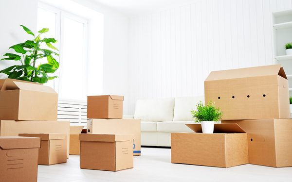 100均おしゃれ収納アイデア！ 部屋・キッチン・クローゼット・棚をすっきり整理