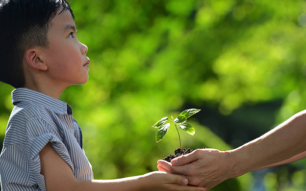 男の子の名前は「自然」「古風」が人気？ ランキング、名付けポイントは