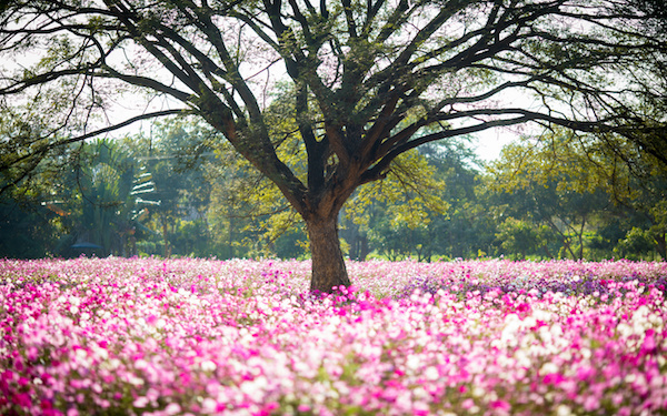 9月3日～9月9日の週間運勢占いランキング！　1位の星座は…？