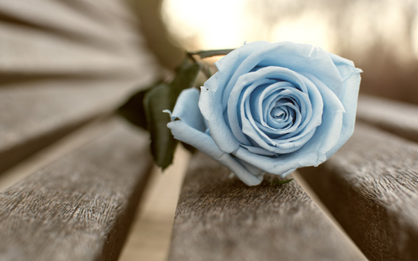 振られた元カレと復縁したい！　どう接していけばいい!?