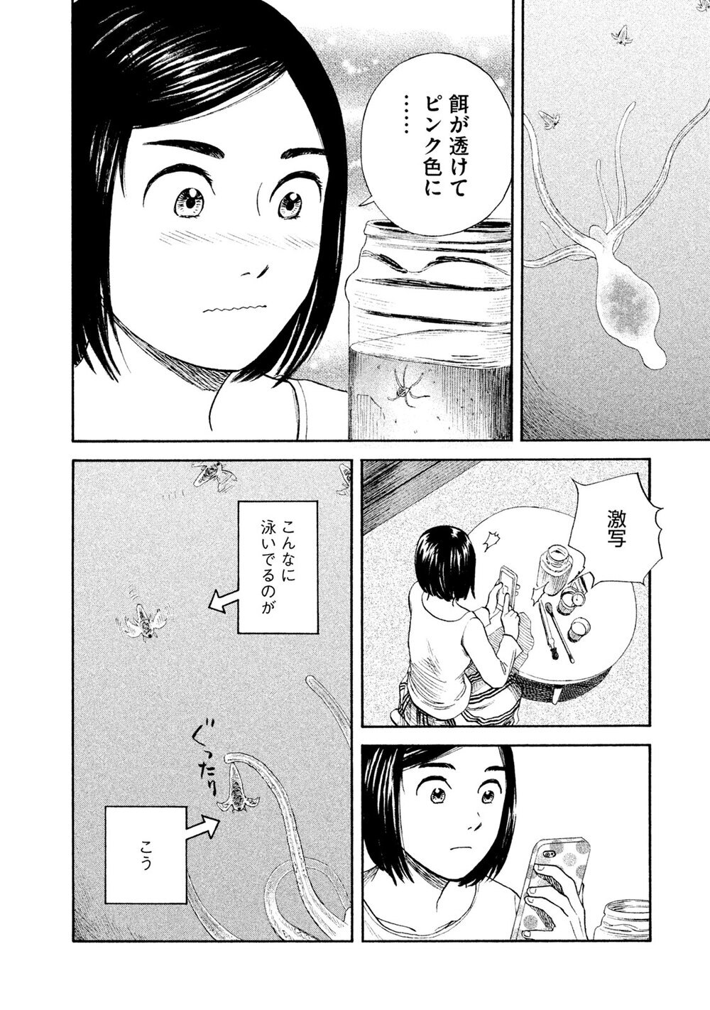 飼う、飼われるの世界へようこそ。「ヒドラ」『飼育少女 第1話』