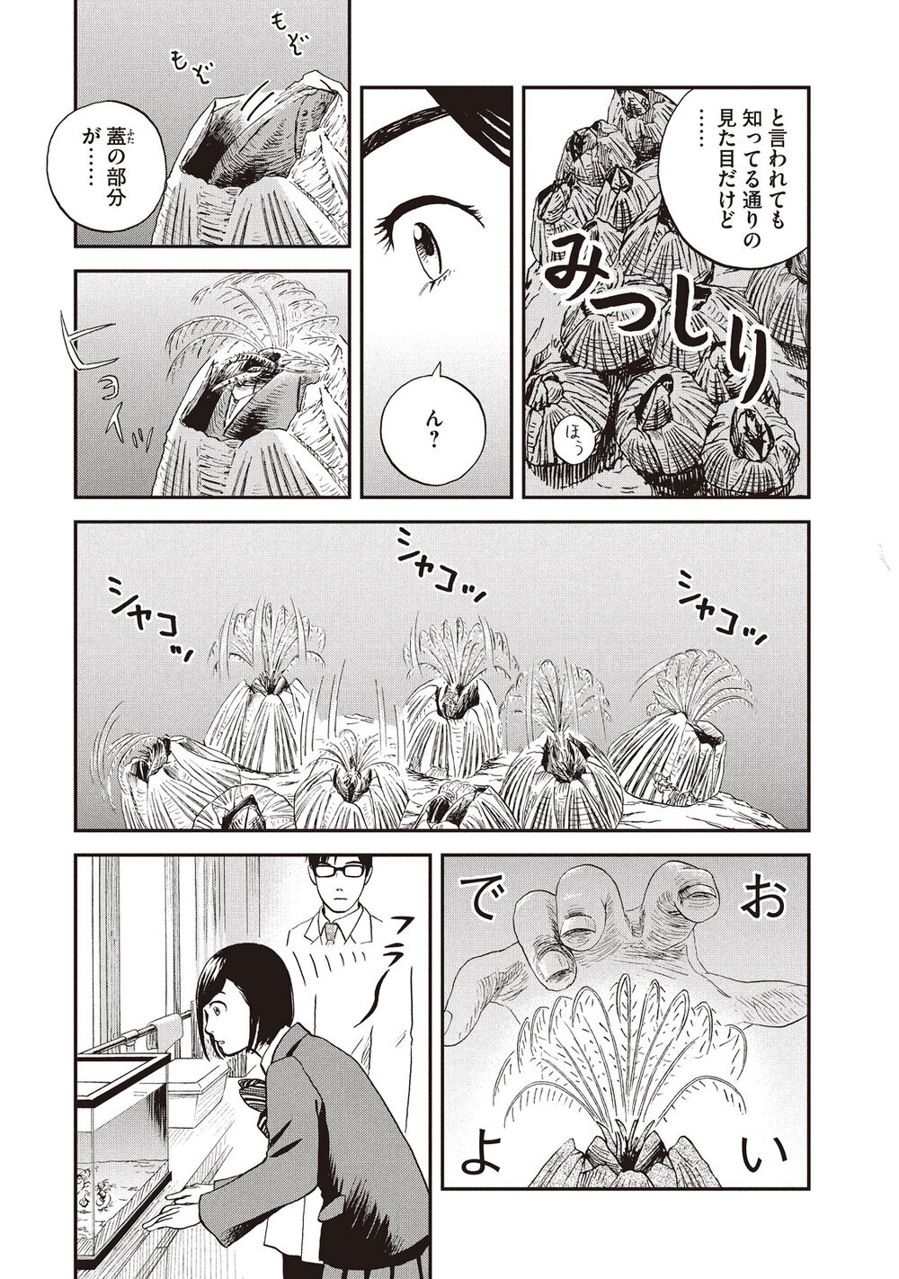 少女にだけ聞こえる、海からの囁き「フジツボ」『飼育少女 第2話』