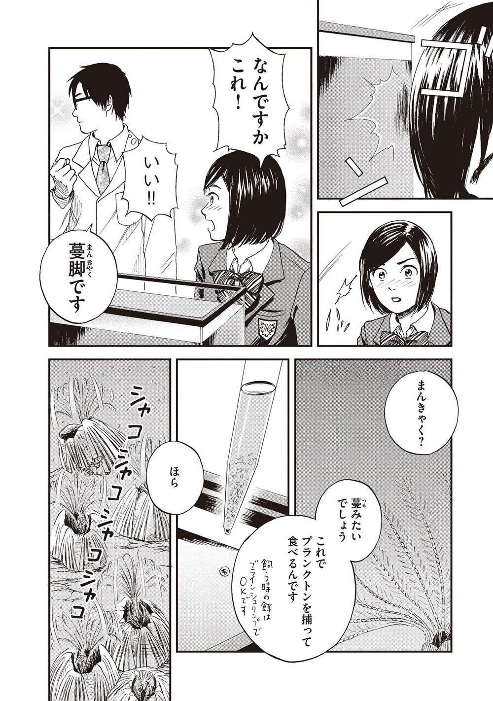 少女にだけ聞こえる、海からの囁き「フジツボ」『飼育少女 第2話』