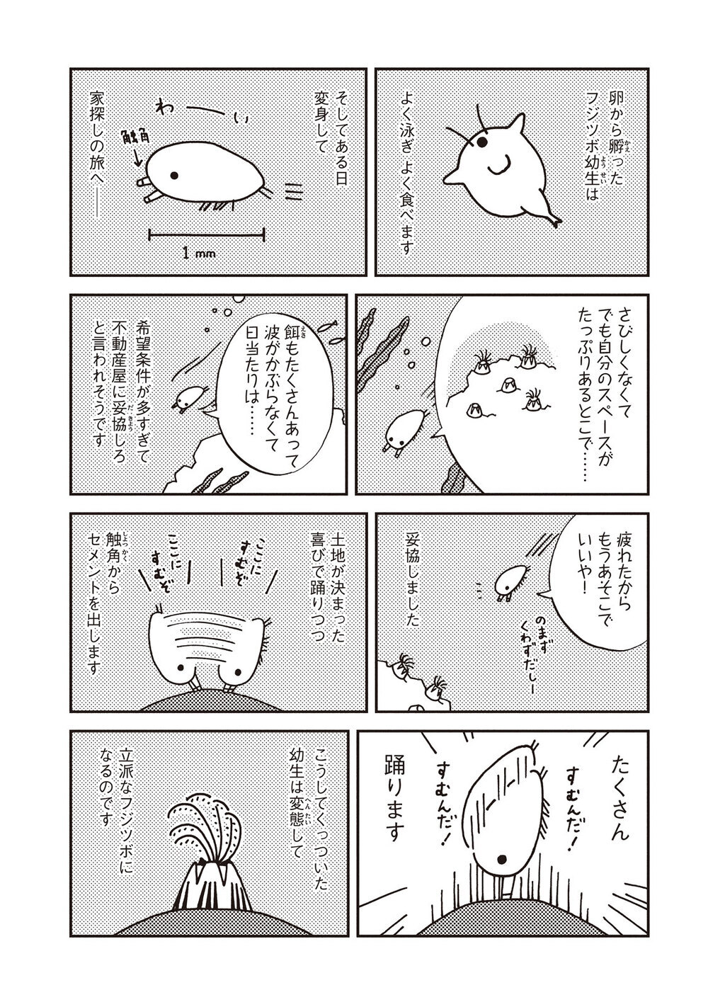 少女にだけ聞こえる、海からの囁き「フジツボ」『飼育少女 第2話』