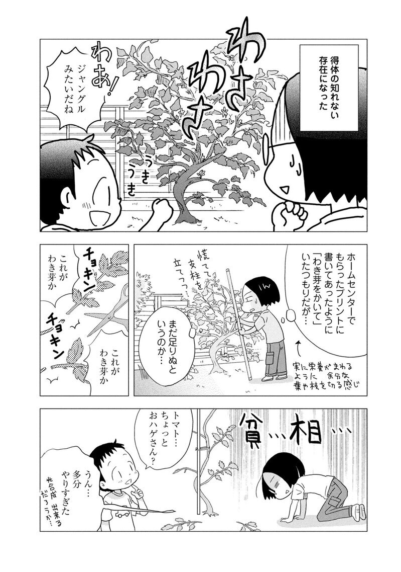 庭のトマトは３年目『ままならぬDIY 第1話』