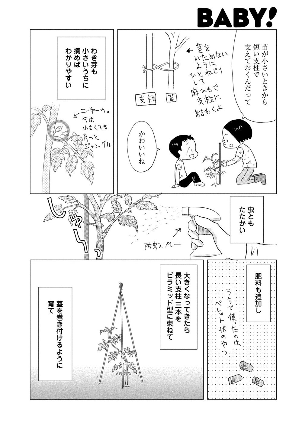 庭のトマトは３年目『ままならぬDIY 第1話』