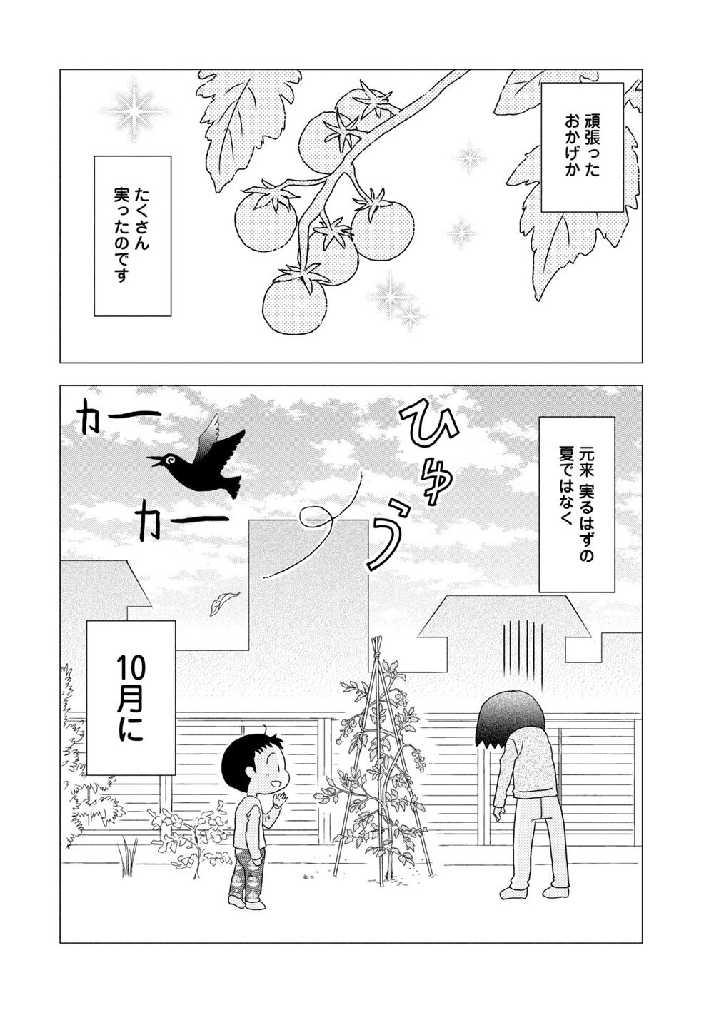 庭のトマトは３年目『ままならぬDIY 第1話』