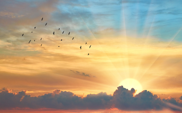 12月10日～12月16日の週間運勢占いランキング！　1位の星座は…？