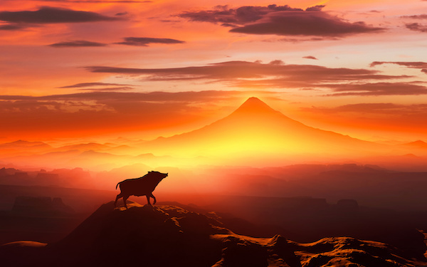 12月31日～1月6日の週間運勢占いランキング！　1位の星座は…？